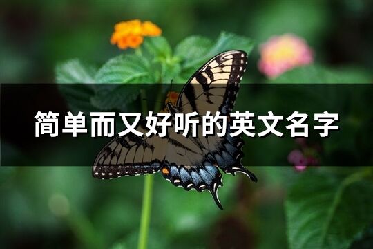 簡單而又好聽的英文名字(共105個)