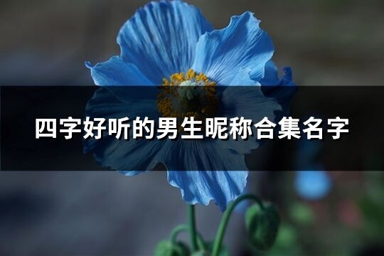 四字好聽的男生昵稱合集名字(共411個)