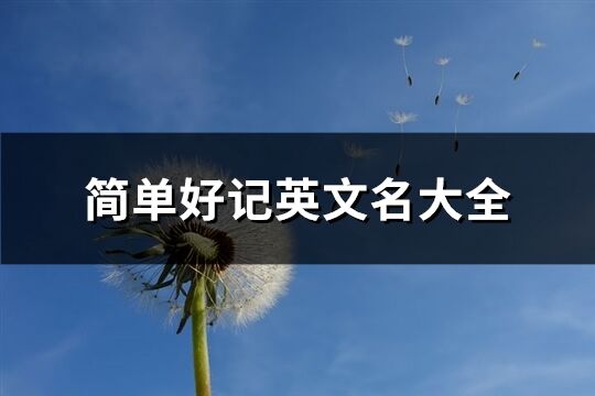 簡單好記英文名大全(優選86個)