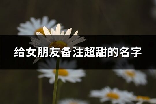 給女朋友備注超甜的名字(共79個)