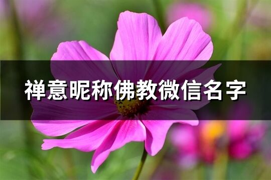 禪意昵稱佛教微信名字(精選115個)