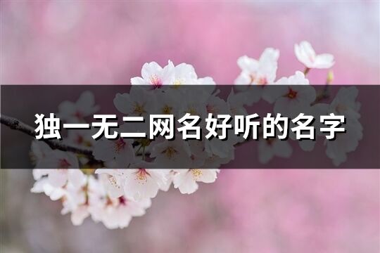 獨(dú)一無二網(wǎng)名好聽的名字(優(yōu)選371個)