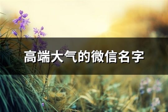 高端大氣的微信名字(精選622個)