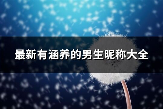 最新有涵養(yǎng)的男生昵稱大全(精選373個)