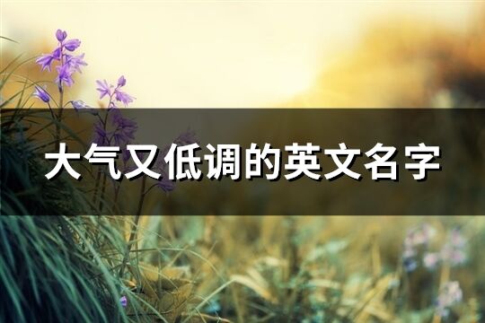 大氣又低調的英文名字(精選90個)