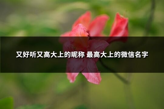 又好聽又高大上的昵稱 最高大上的微信名字(精選875個)