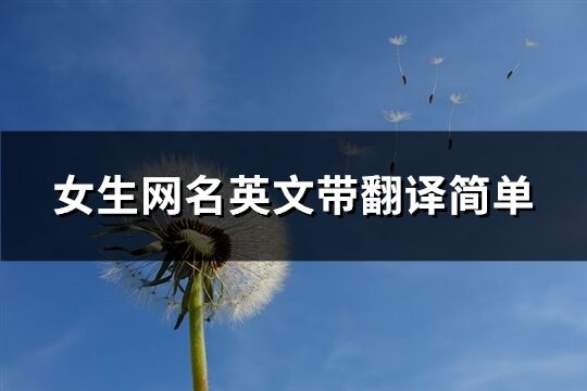 女生網名英文帶翻譯簡單(共123個)