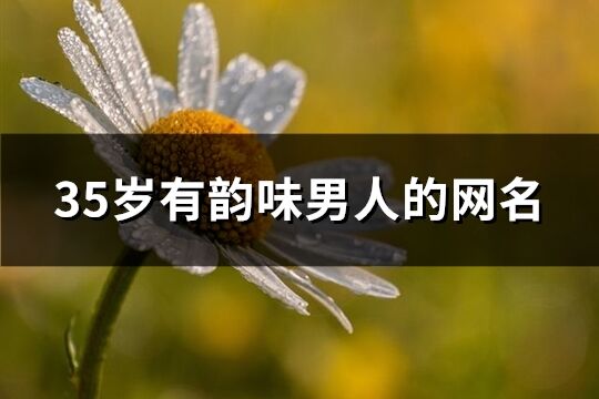 35歲有韻味男人的網名(共648個)