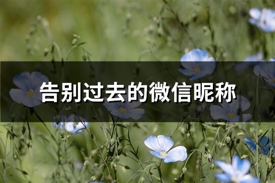 告別過去的微信昵稱(精選139個(gè))