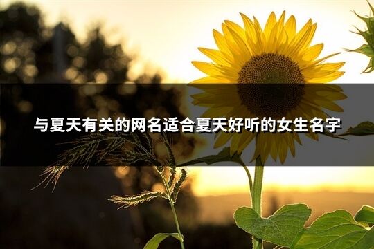 與夏天有關(guān)的網(wǎng)名適合夏天好聽(tīng)的女生名字(共379個(gè))
