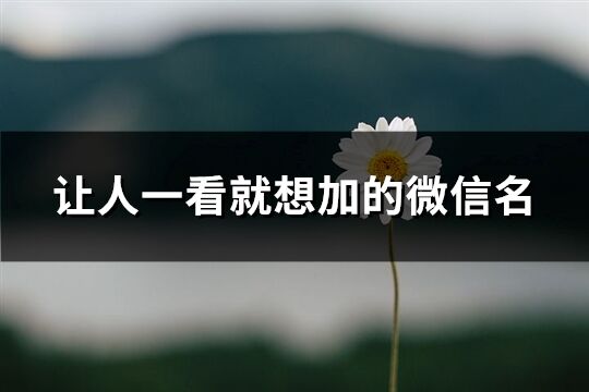 讓人一看就想加的微信名(共551個)