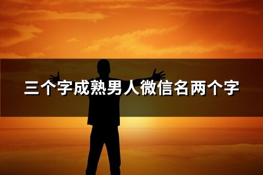 三個字成熟男人微信名兩個字(共371個)