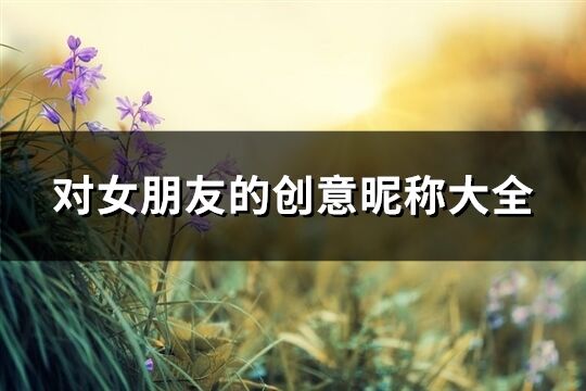 對女朋友的創意昵稱大全(優選138個)