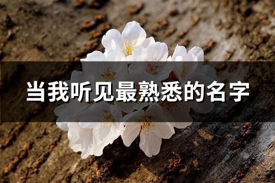 當我聽見最熟悉的名字(精選70個)