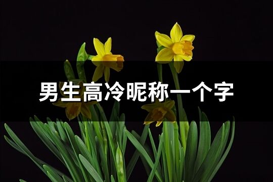 男生高冷昵稱一個字(79個)