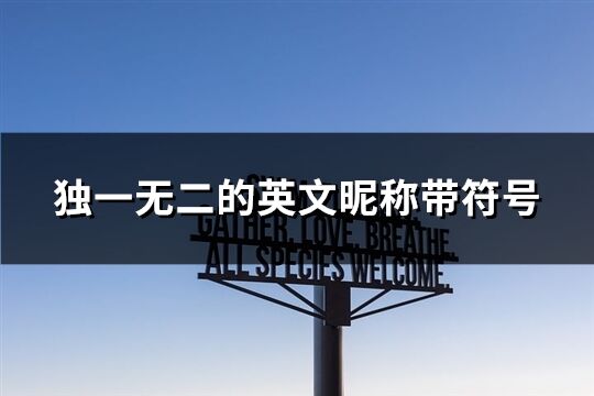 獨一無二的英文昵稱帶符號(共107個)