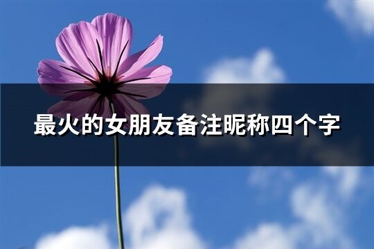 最火的女朋友備注昵稱四個字(共277個)