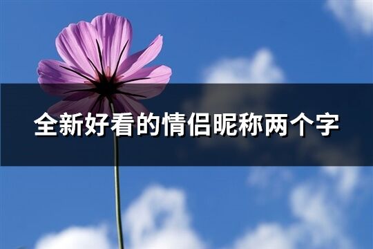全新好看的情侶昵稱兩個字(共559個)