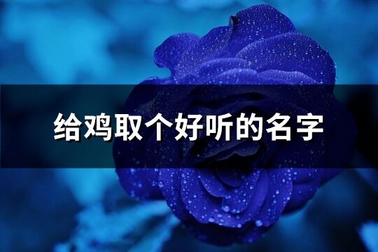 給雞取個好聽的名字(優(yōu)選140個)