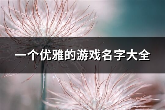 一個優雅的游戲名字大全(優選240個)