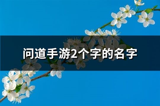 問道手游2個字的名字(345個)