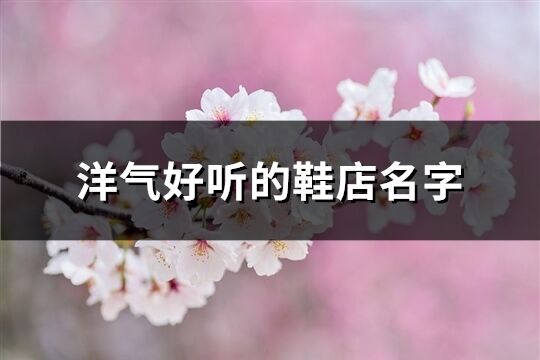 洋氣好聽的鞋店名字(優選346個)