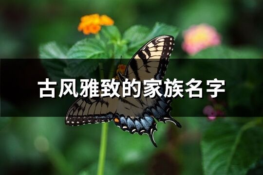 古風雅致的家族名字(共280個)