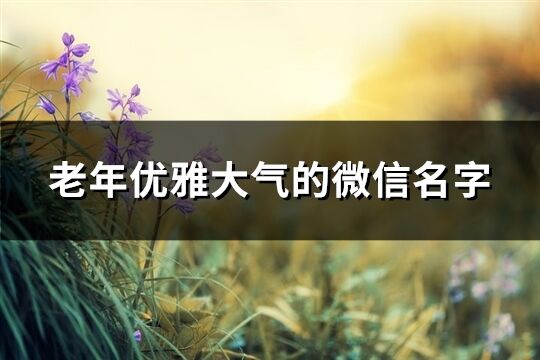 老年優雅大氣的微信名字(89個)