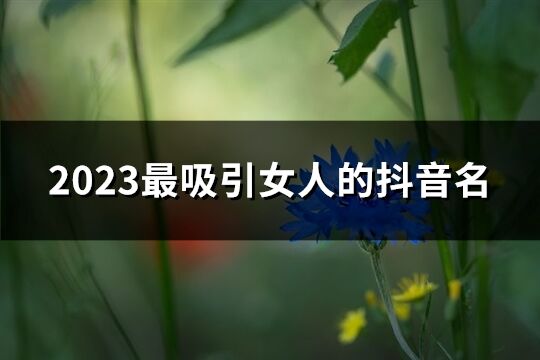 2023最吸引女人的抖音名(510個)