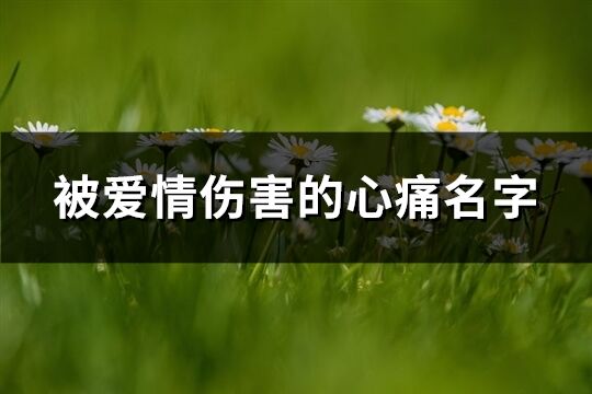 被愛情傷害的心痛名字(優選224個)