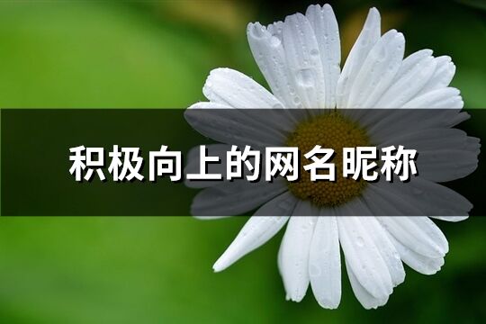 積極向上的網名昵稱(共268個)