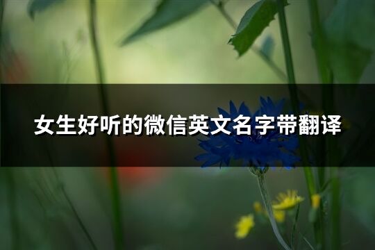 女生好聽的微信英文名字帶翻譯(62個)
