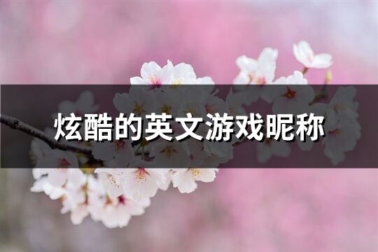 炫酷的英文游戲昵稱(共105個)