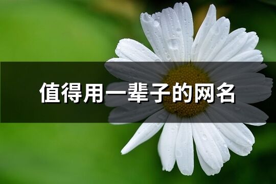 值得用一輩子的網(wǎng)名(優(yōu)選381個)
