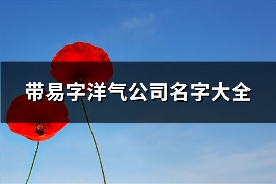 帶易字洋氣公司名字大全(共57個)