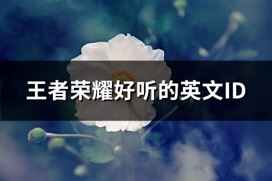 王者榮耀好聽的英文ID(113個)
