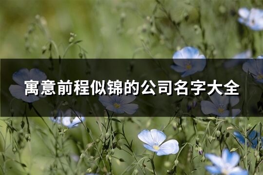 寓意前程似錦的公司名字大全(精選70個)