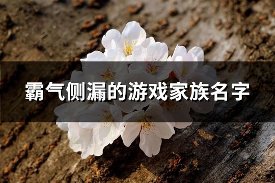 霸氣側漏的游戲家族名字(精選278個)