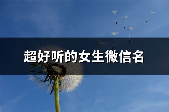 超好聽的女生微信名(443個)