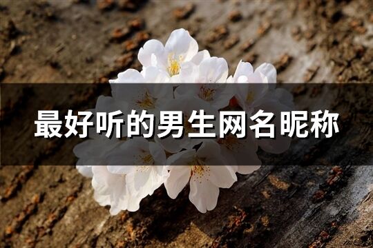 最好聽的男生網(wǎng)名昵稱(564個(gè))