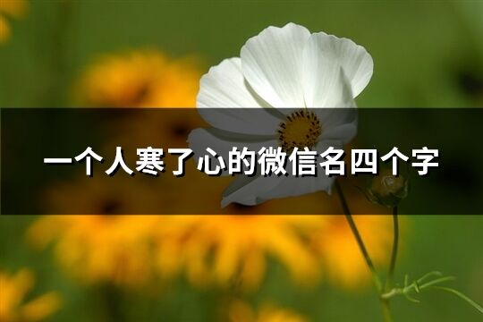 一個人寒了心的微信名四個字(優選342個)