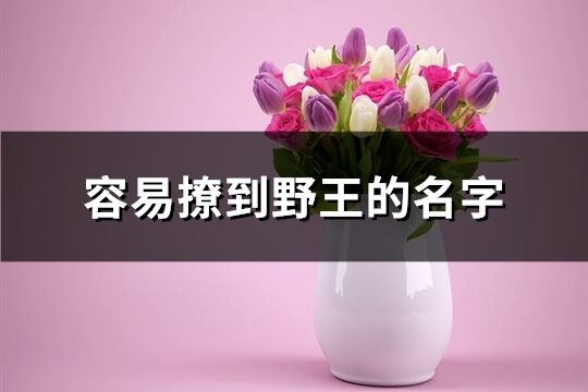 容易撩到野王的名字(優(yōu)選300個)
