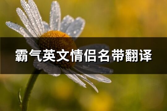 霸氣英文情侶名帶翻譯(共83個(gè))