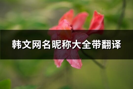 韓文網(wǎng)名昵稱大全帶翻譯(109個(gè))