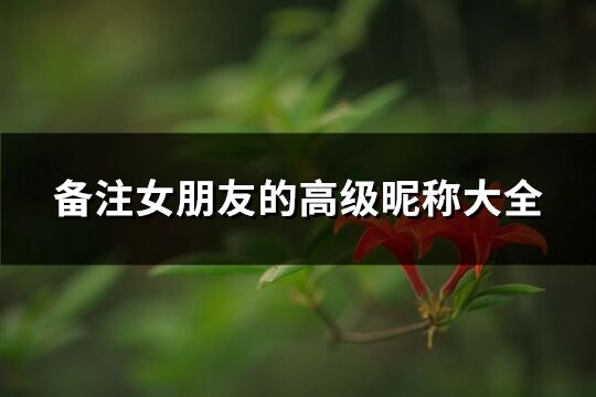 備注女朋友的高級昵稱大全(72個)