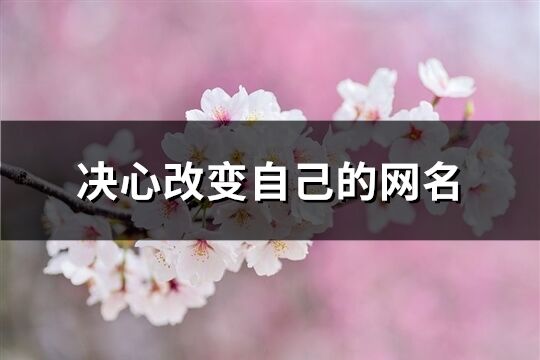 決心改變自己的網(wǎng)名(共130個)