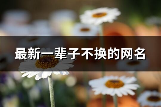 最新一輩子不換的網(wǎng)名(587個)
