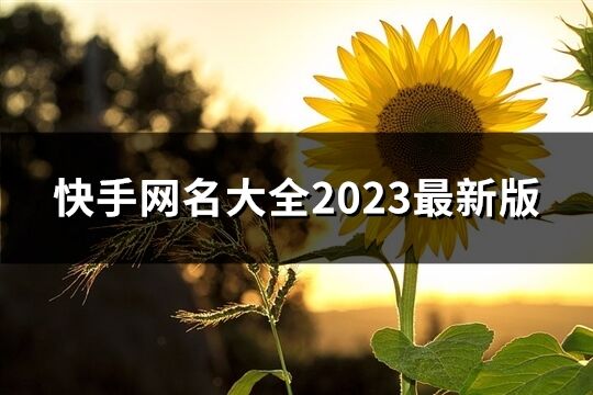 快手網名大全2023最新版(優選442個)