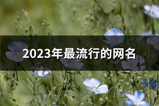 2023年最流行的網名(精選978個)