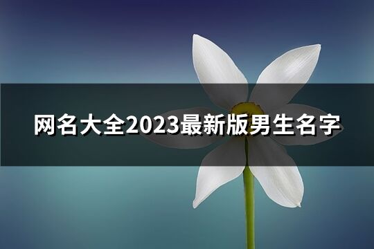 網(wǎng)名大全2023最新版男生名字(共1157個(gè))